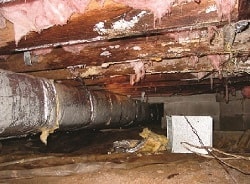 damp, humid crawl space in Muskogee, Oklahoma, and Arkansas